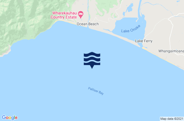 Palliser Bay, New Zealandの潮見表地図