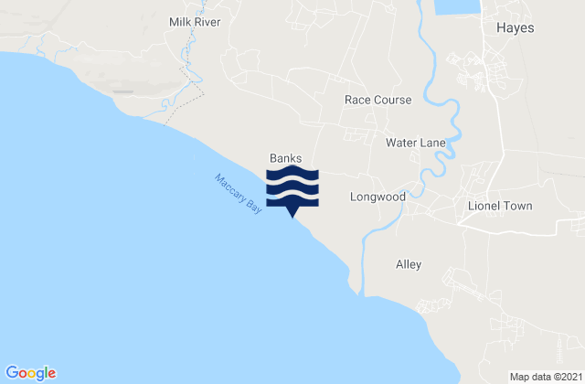 Race Course, Jamaicaの潮見表地図