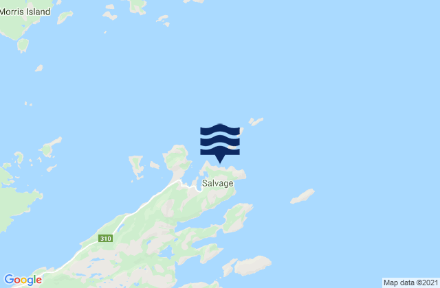 Salvage, Canadaの潮見表地図