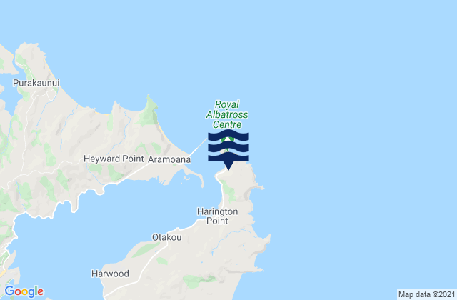 Taiaroa Head, New Zealandの潮見表地図