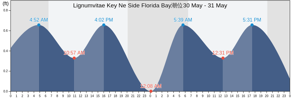 Lignumvitae Key Ne Side Florida Bay, Miami-Dade County, Florida, United States潮位