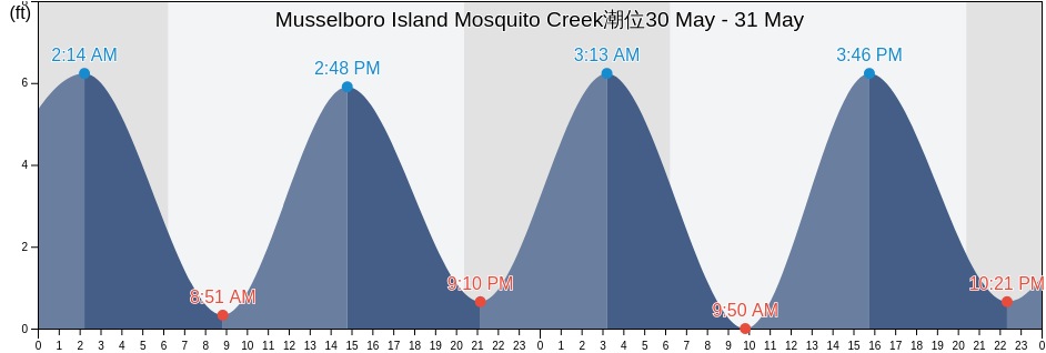 Musselboro Island Mosquito Creek, Colleton County, South Carolina, United States潮位
